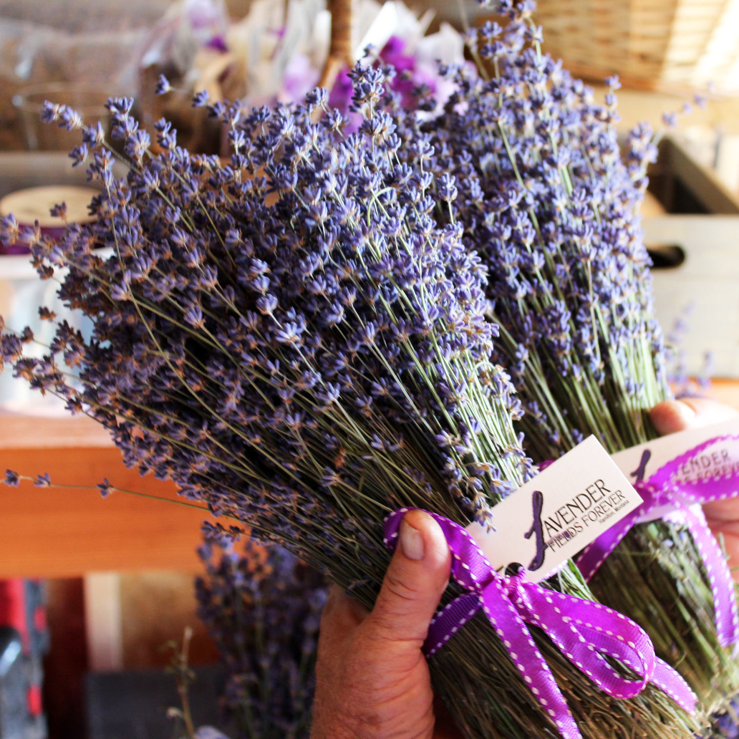 Lavender bundles